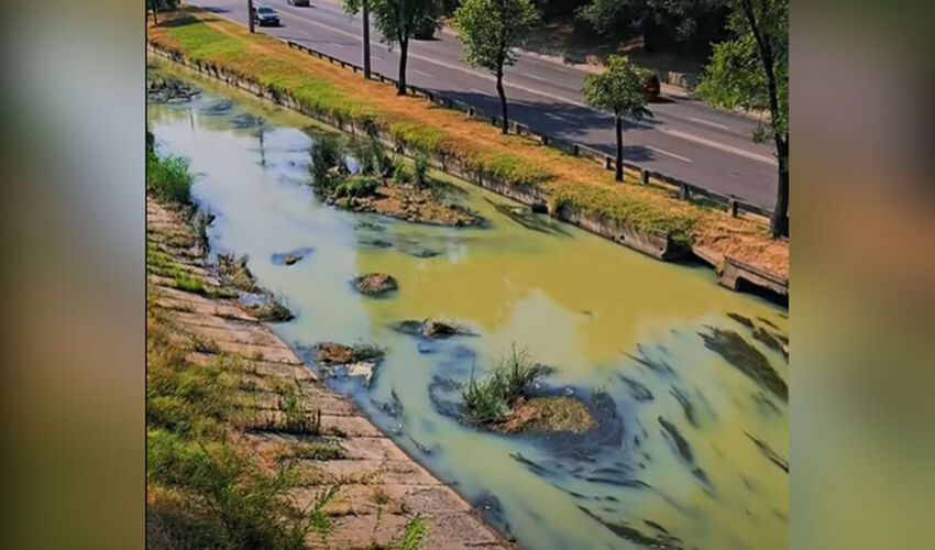 The waters of the Bîc River have become murky Byk River