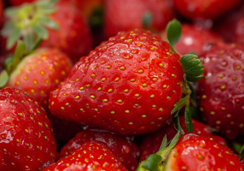 Высокий старт ягодного сезона-2026 в Молдове и Украине