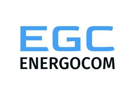 Energocom вошел в ТОП-100 по доходам в ЮВЕ
