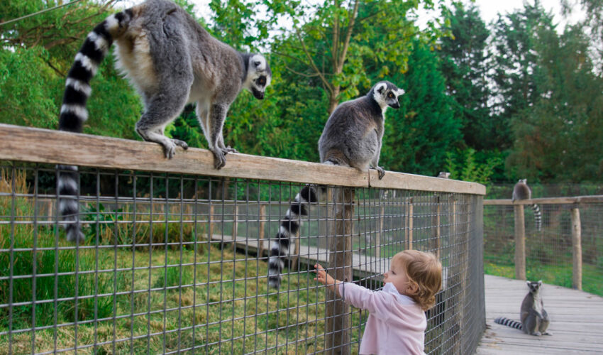 grădină zoologică