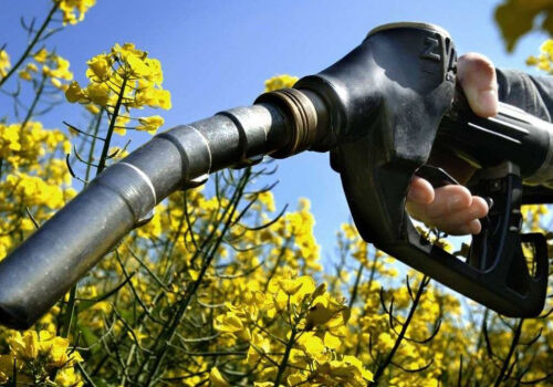 Alimente vs. benzină: cum schimbă criza energetică economia globală