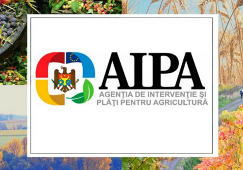 Regulamentul de acreditare al AIPA a fost adoptat