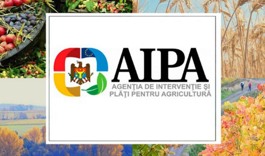 AIPA Accreditation Regulations Adopted AIPA