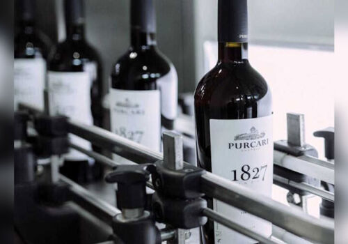 Прибыль Purcari Wineries снизилась на 11,25%