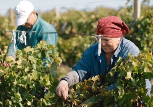 O platformă digitală va simplifica înregistrarea ocupării informale a forței de muncă O platformă digitală va simplifica înregistrarea ocupării informale a forței de muncă