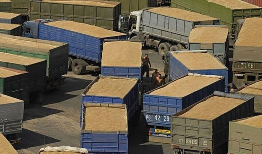Ukrainian grain