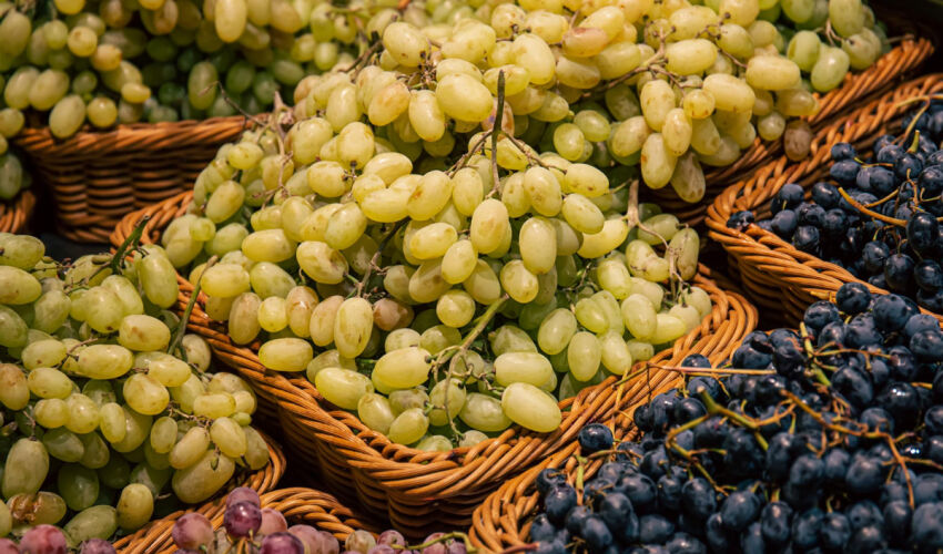 Table grape exports got off to a brisk start in January grapes