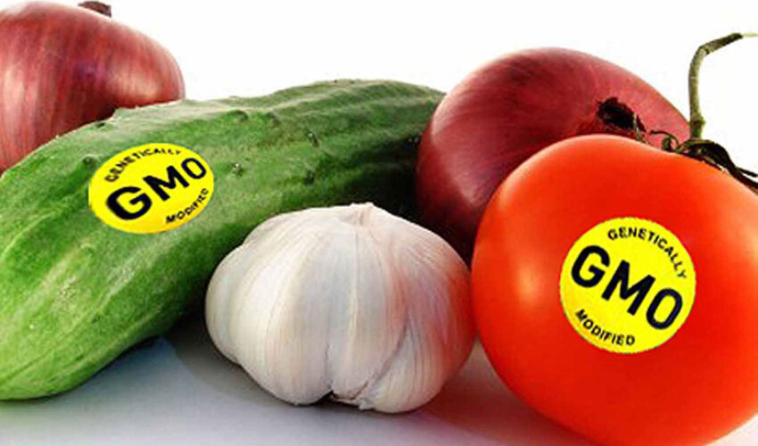 GMO foods