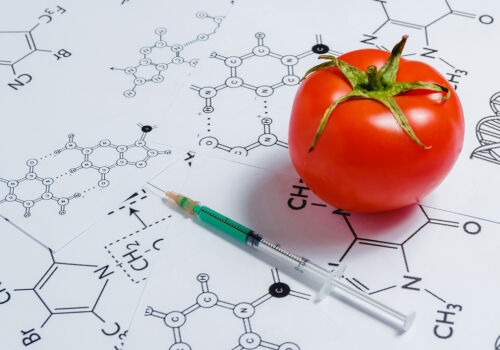 UE relaxează reglementările privind circulația produselor transgenice UE relaxează reglementările privind circulația produselor transgenice