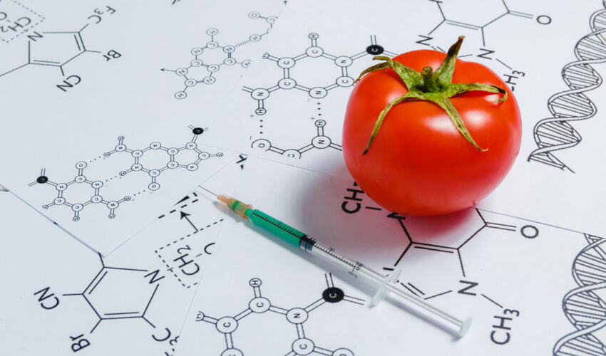 UE relaxează reglementările privind circulația produselor transgenice GMOS