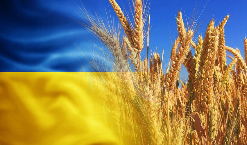 EU renews quotas on imports of Ukrainian agricultural products EU renews quotas on imports of Ukrainian agricultural products