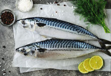 Creșterea prețului macrou este cauzată de reducerea cotelor UE pentru pescuitul de macrou Creșterea prețului macrou este cauzată de reducerea cotelor UE pentru pescuitul de macrou