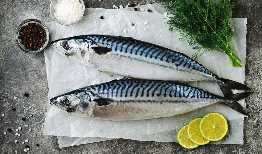 Подорожание скумбрии вызвано снижением квот Евросоюза на ее вылов