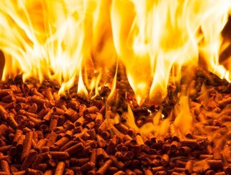 Энергия из биомассы все актуальнее Энергия из биомассы все актуальнее