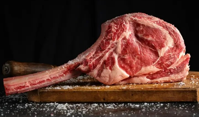 Meat without slaughtering animals meat