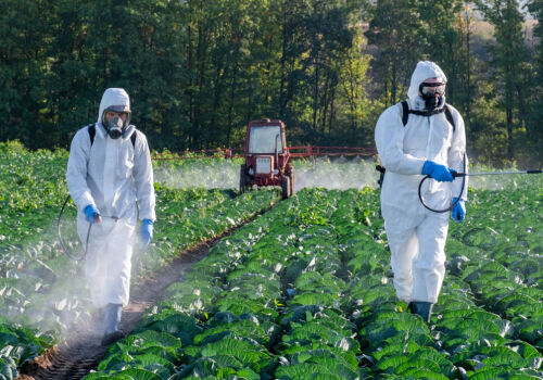 ANSA și FAO vor îmbunătăți statisticile privind pesticidele din Moldova