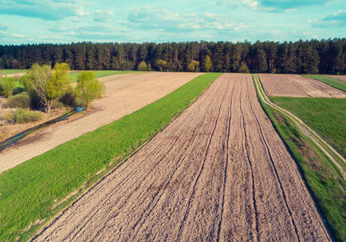 Câte terenuri agricole există în lume și în Moldova Câte terenuri agricole există în lume și în Moldova