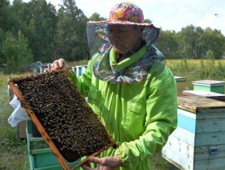 Импортозамещение для пчеловодов Импортозамещение для пчеловодов