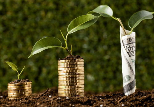 Grants under the AGGRI program are now available to vegetable and berry producers Grants under the AGGRI program are now available to vegetable and berry producers