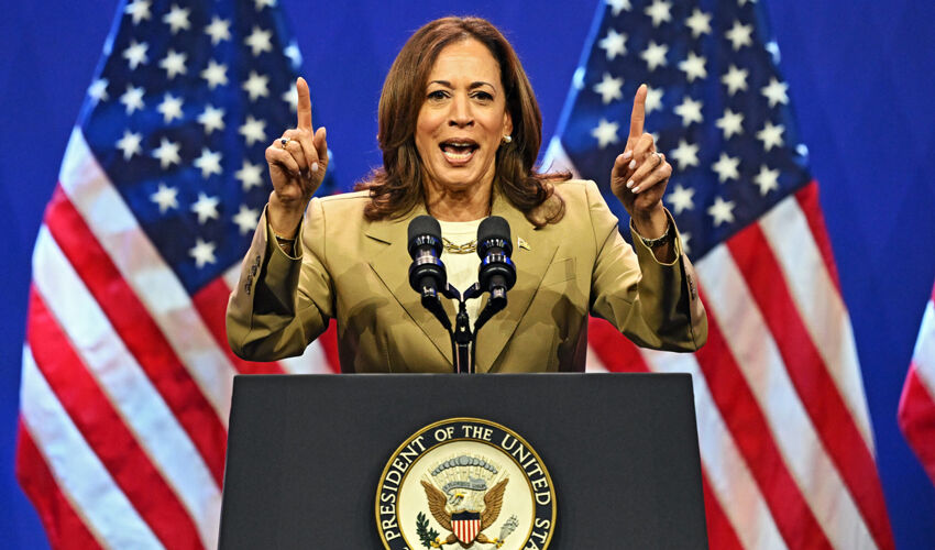 Элитная вилла для бывшего вице-президента Элитная вилла для бывшего вице-президента