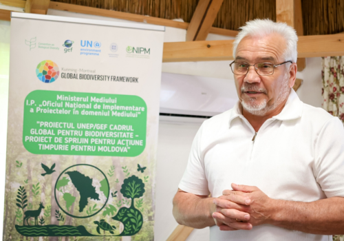 Nature in Moldova’s cities is becoming part of the infrastructure Nature in Moldova’s cities is becoming part of the infrastructure