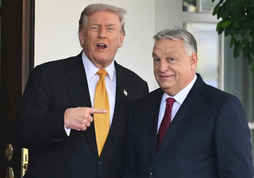 Trump endorsed Orban in the election