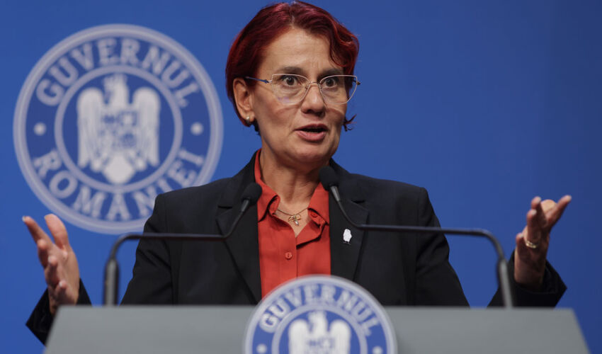 Ioana Dogioiu, Government Spokesperson