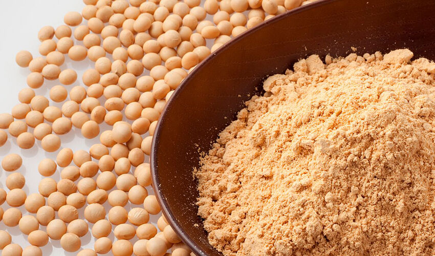 Шрот из Украины оказывает двоякое влияние на рынок Молдовы