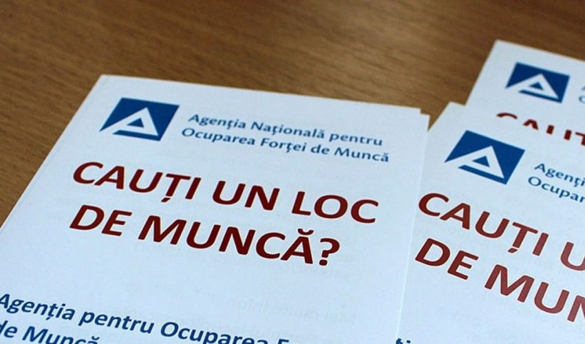 Since the beginning of the year, more than 13,000 Moldovans have found jobs with the assistance of ANOFM National Agency for Employment (ANOFM)