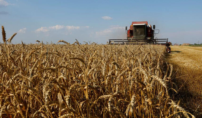 Ucraina primește noi cote de la UE pentru produsele agricole Ucraina primește noi cote de la UE pentru produsele agricole