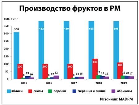 Урожай фруктов – ниже прошлогоднего Урожай фруктов – ниже прошлогоднего
