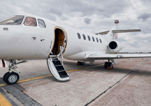 Temporary importation of private aircraft, ships and horses from the EU will be exempted from taxes and fees