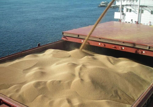 Prețul grâului european a crescut cu 18%. Motivul – riscurile legate de transportul maritim în Marea Neagră   