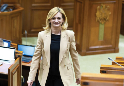 Ultima redută a opoziției?