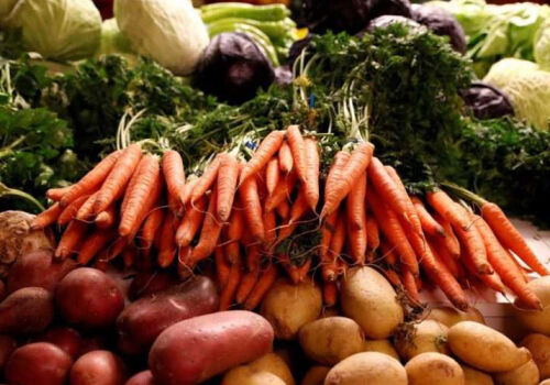 Оптовые продажи овощей снизились на треть Оптовые продажи овощей снизились на треть