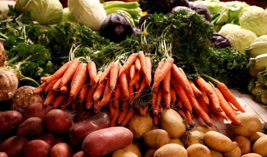 Wholesale sales of vegetables fell by a third Wholesale sales of vegetables fell by a third