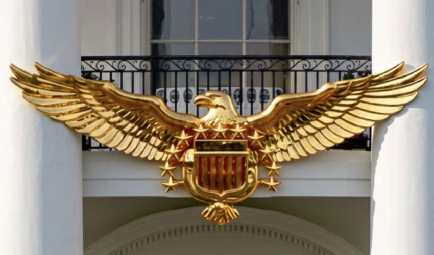 Vulturul american