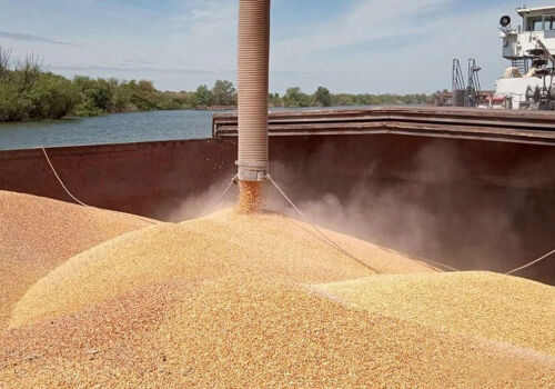 În luna iulie, Moldova a exportat grâu în valoare record de 567 de milioane de lei. Ce urmează? În luna iulie, Moldova a exportat grâu în valoare record de 567 de milioane de lei. Ce urmează?