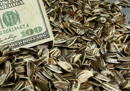 Цены на подсолнечник достигли потолочного уровня. Что дальше? Цены на подсолнечник достигли потолочного уровня. Что дальше?