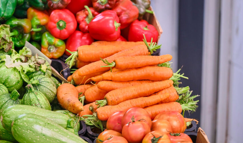 Moldova to host agri-food sector investment forum agro-products