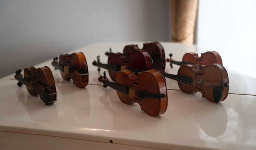 A collection from Cesare Cipriani has appeared in the Organ Hall A collection from Cesare Cipriani has appeared in the Organ Hall
