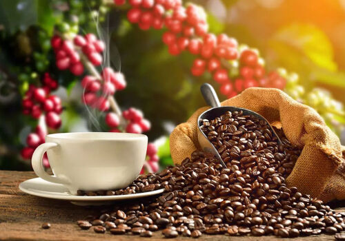 Prețurile la bursă ale cafelei Arabica se prăbușesc la minimul anului 2024