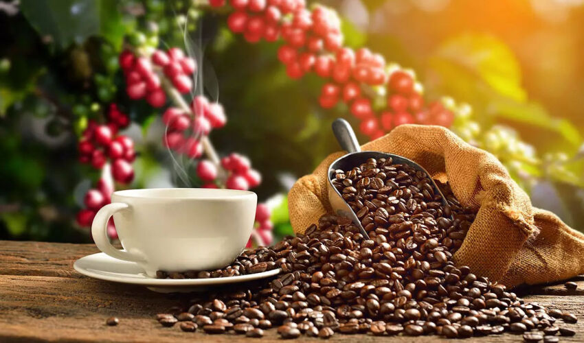cafea