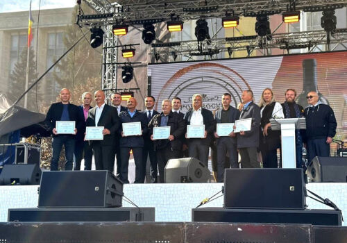 Aur pentru vinul de casă al Moldovei!