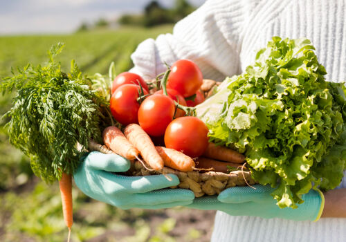 Greenwashing phenomenon threatens food security Greenwashing phenomenon threatens food security