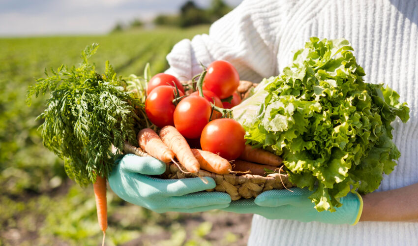 Fenomenul Greenwashing amenință securitatea alimentară legume organice