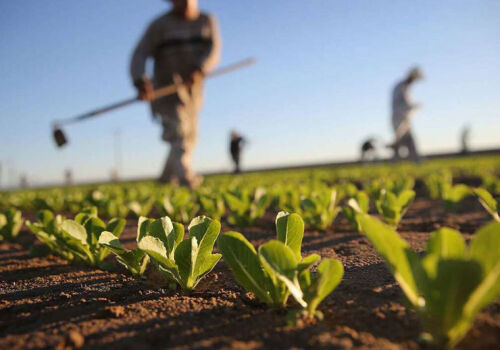 More than $300,000 for soil protection