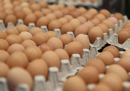 Crescătorii de păsări au explicat creșterea prețului ouălor Crescătorii de păsări au explicat creșterea prețului ouălor