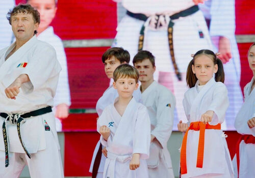 Condiții de reînnoire a finanțării pentru Federația Karate-do