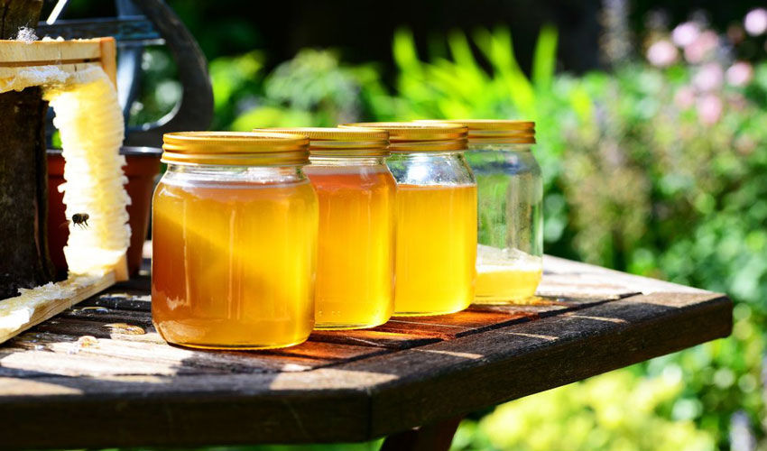 Honey production in Moldova will drop sharply